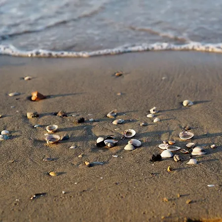 Sunny Garden Retreat Near The Sea